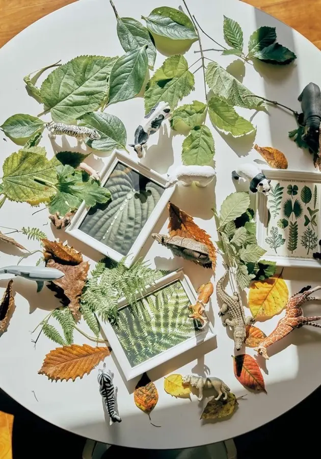 子どもたちの探求活動の様子