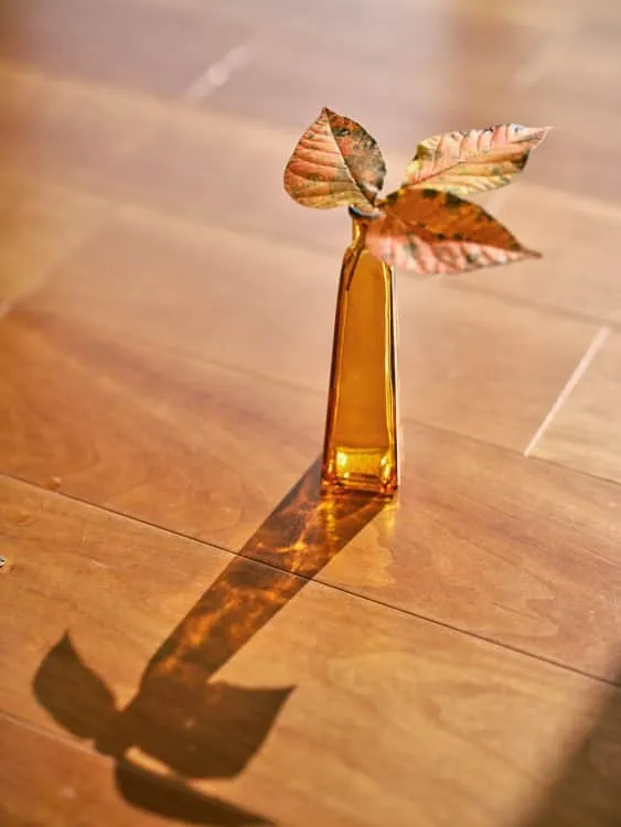 琥珀色の花瓶に飾られた秋の葉