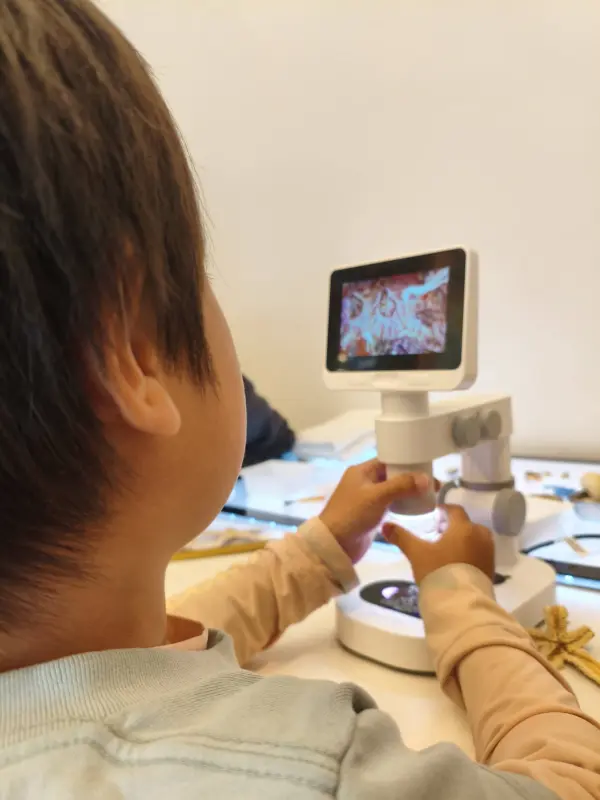 スクールライフ 2月12日