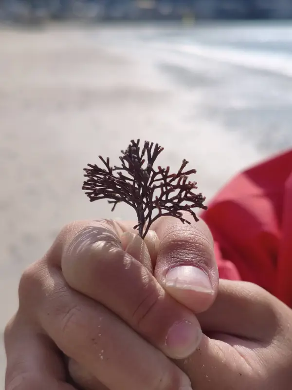 スクールライフ 2月16日