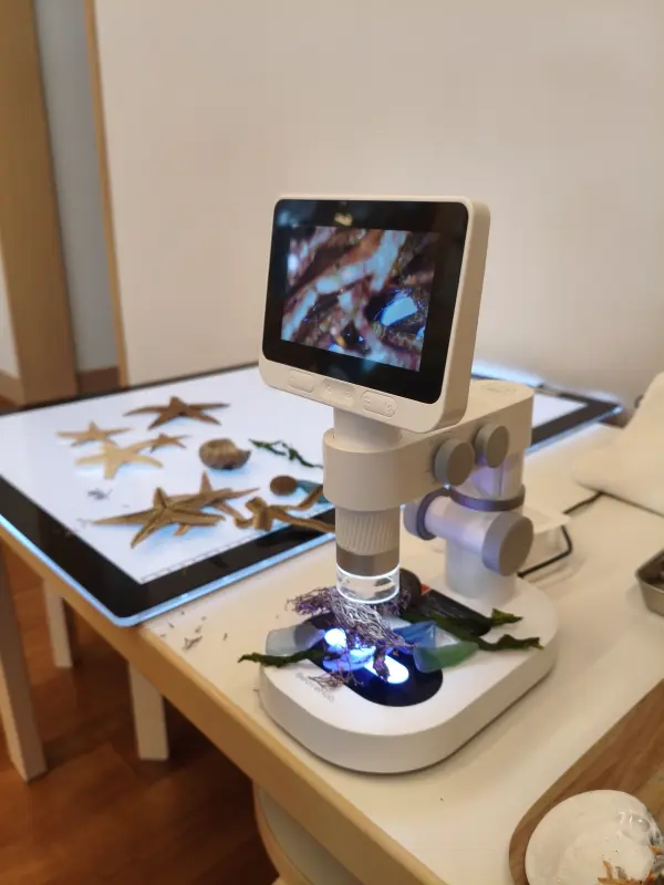 スクールライフ 2月18日