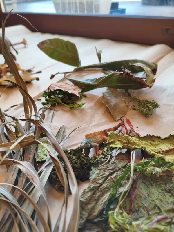 スクールライフ 2月18日