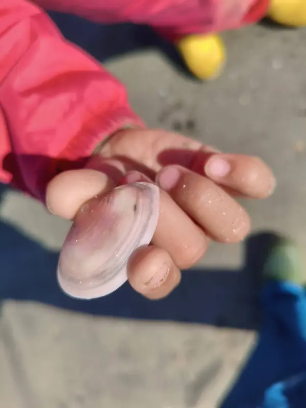 スクールライフ 2月19日