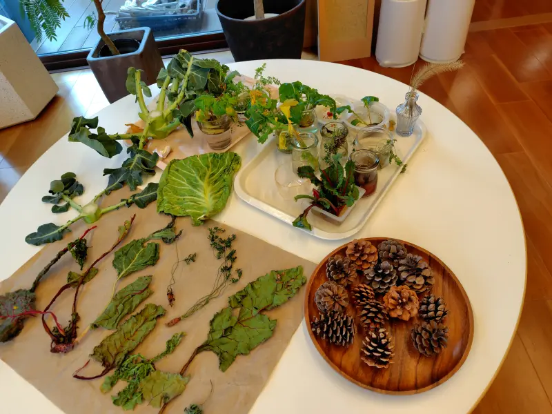 スクールライフ 2月26日