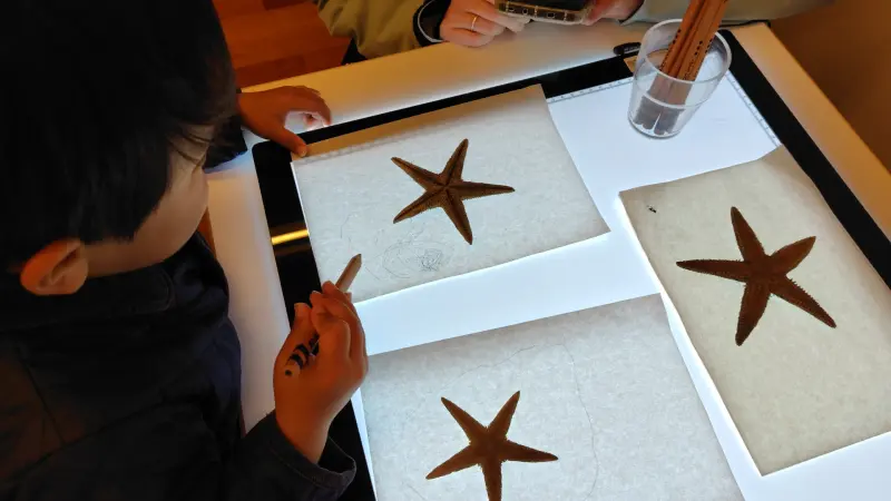 スクールライフ 2月26日