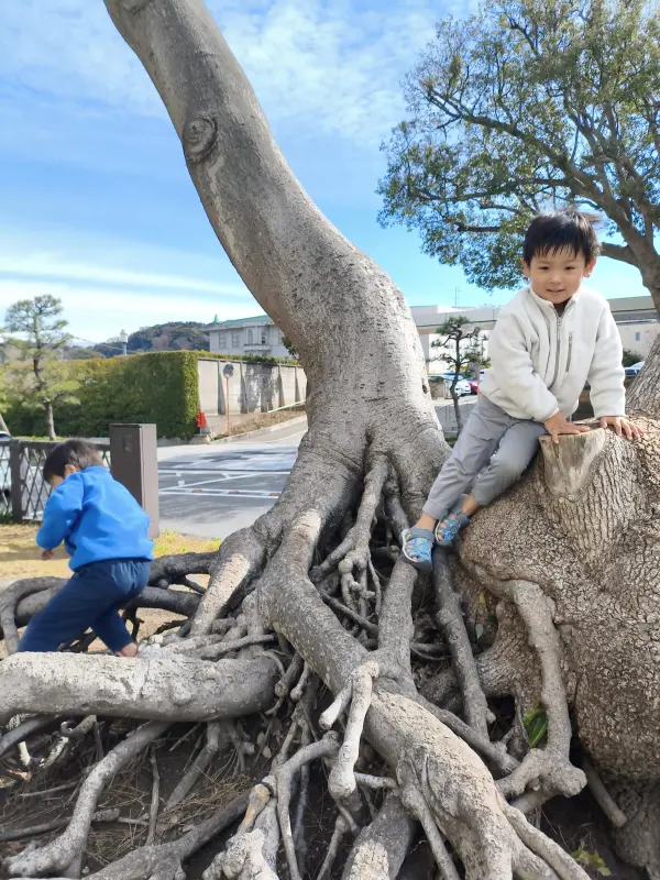 スクールライフ 2月27日