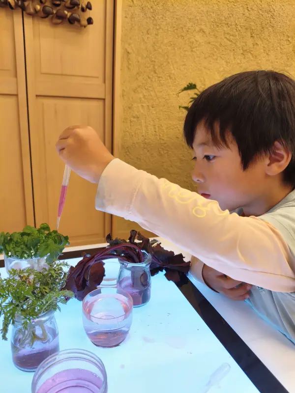 スクールライフ 2月3日