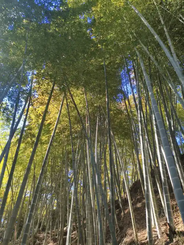 スクールライフ 2月4日