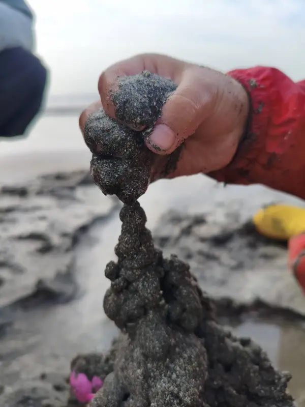 スクールライフ 2月5日