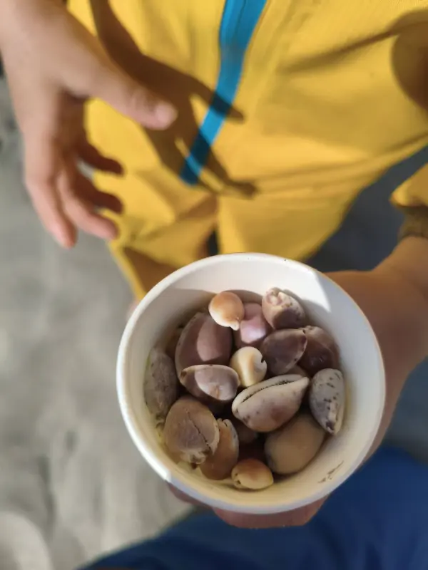 スクールライフ 2月6日