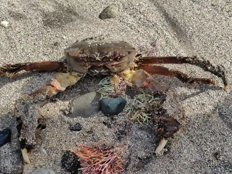 スクールライフ 1月20日