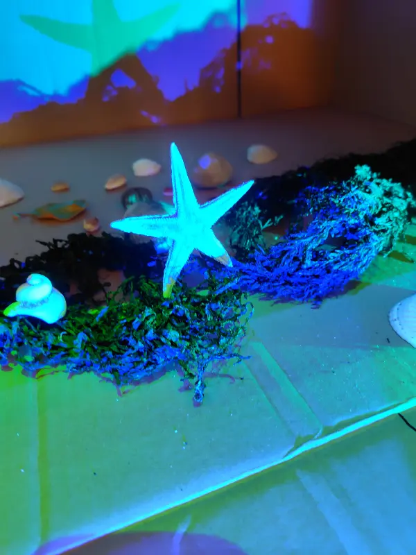 スクールライフ 1月22日