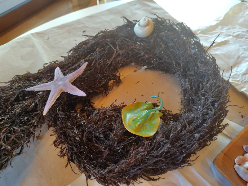 スクールライフ 1月22日