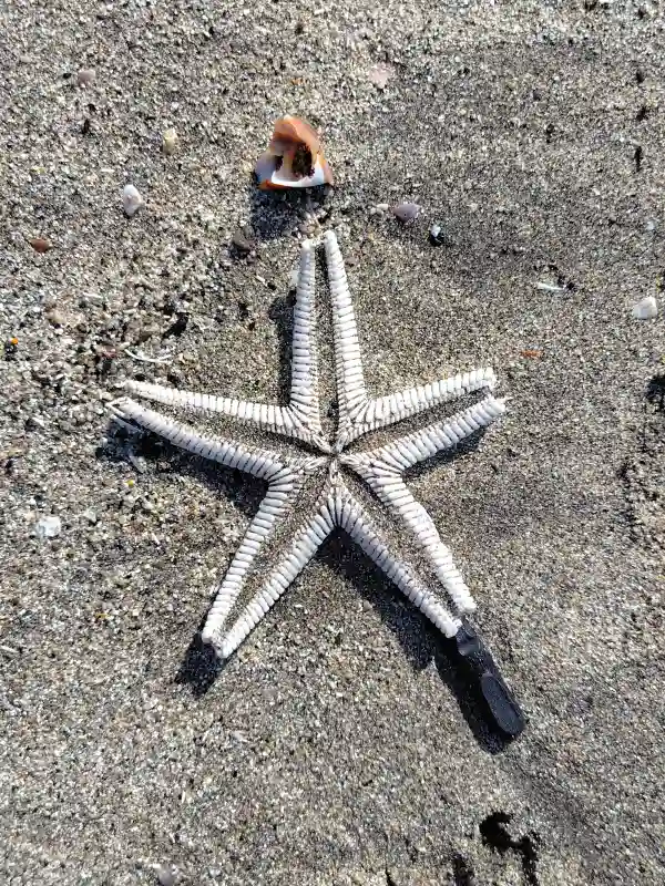 スクールライフ 1月27日