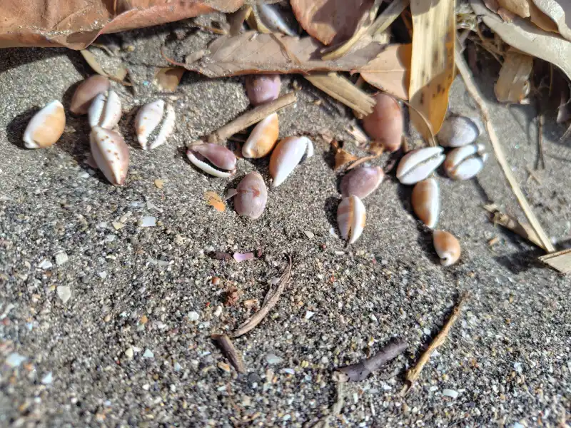 スクールライフ 1月27日