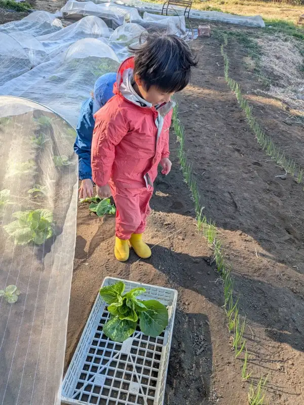 スクールライフの一コマ (2)