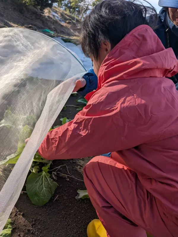 スクールライフの一コマ (3)