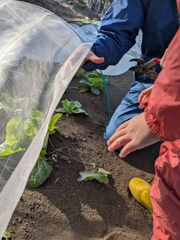 スクールライフの一コマ (4)