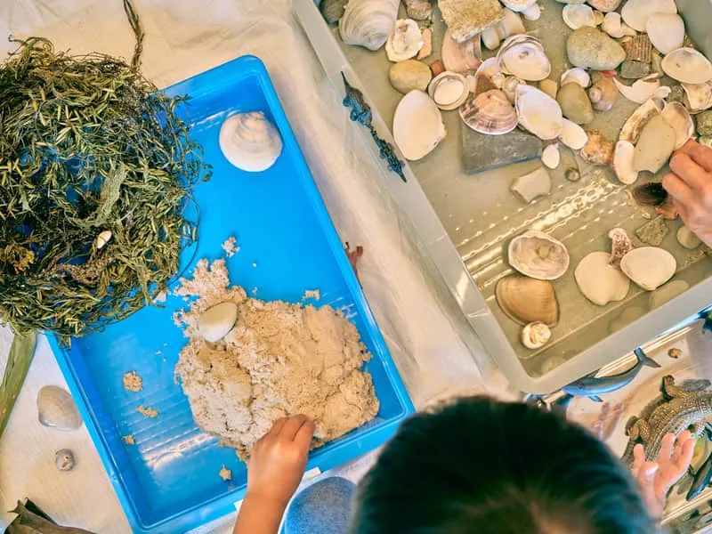 貝殻と砂を使った感覚遊び